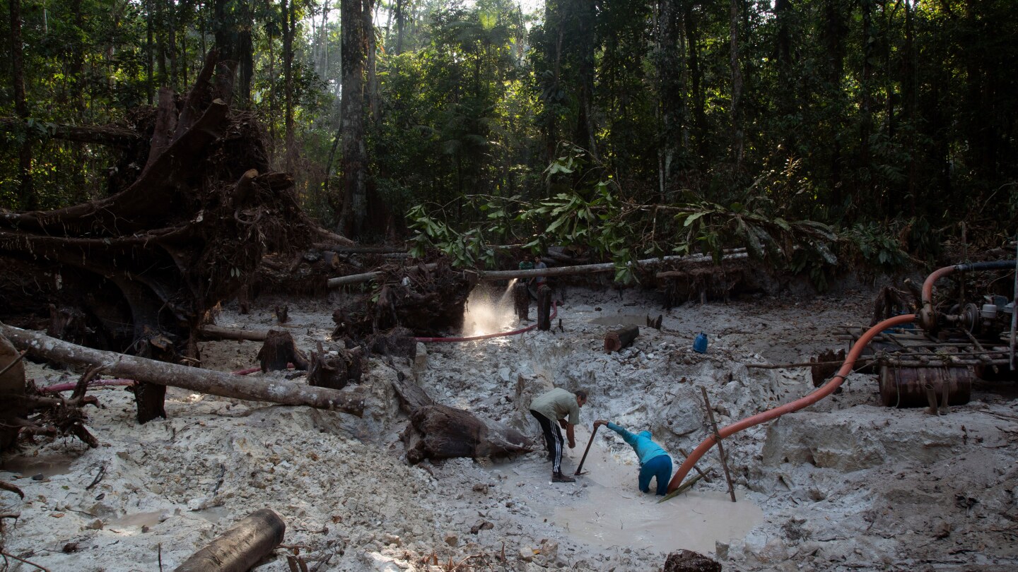 Interpol-led crackdown on environmental crime nets 225 arrests in Latin America